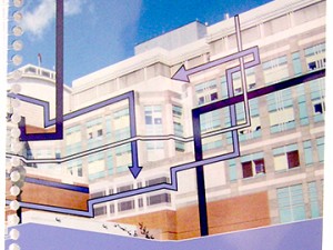 Hosptial Patient and Visitors’ Guide