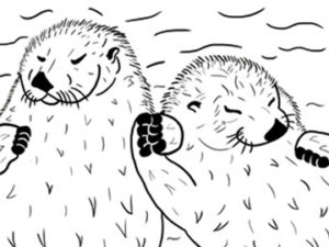 The Otter Couple